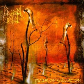Fields Of Salvation album cover