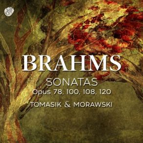 Brahms: Violin Sonatas, Opp. 78, 100, 108 & 120 album cover