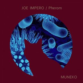 Pherom (Single) album cover