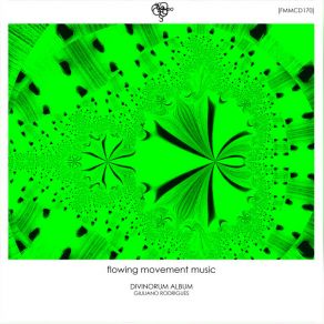 Divinorum Album album cover