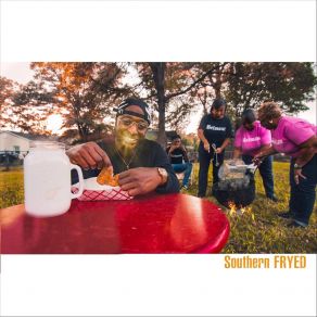 Southern Fryed album cover