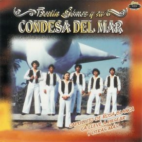 Capullito De Rosa Blanca album cover