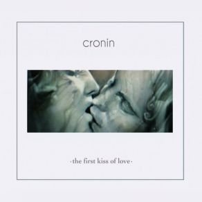 The First Kiss Of Love album cover
