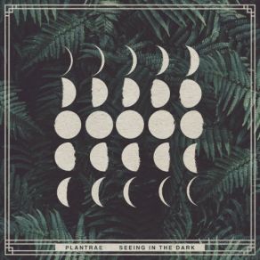 Seeing In The Dark album cover
