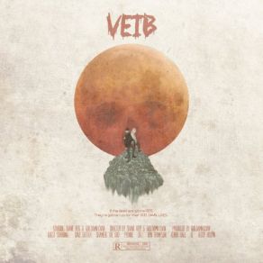 Veib album cover