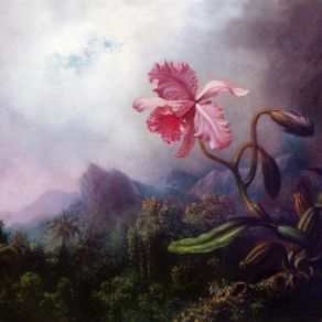 Skärselden album cover