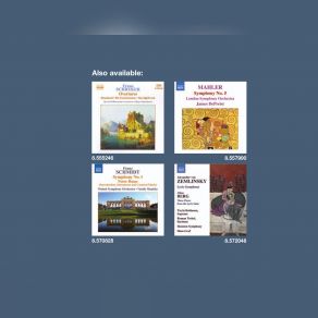 Franz Schmidt: Symphony No. 1-4 (CD2) album cover