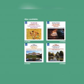 Franz Schmidt: Symphony No. 1-4 (CD3) album cover