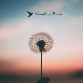 Treinta Y Nueve album cover