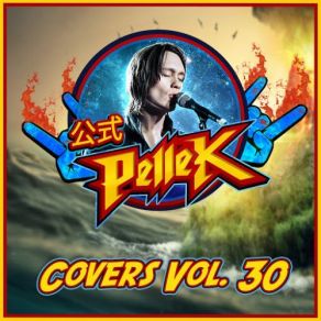 Covers, Vol. 30 album cover