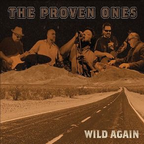 Wild Again album cover