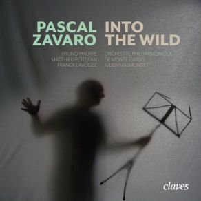 Pascal Zavaro: Into The Wild album cover