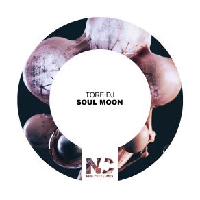 Tore DJ - Soul Moon (Maxi-Single) album cover