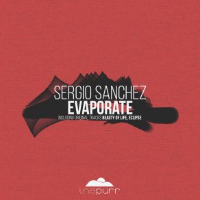 Evaporate (Maxi-Single) album cover