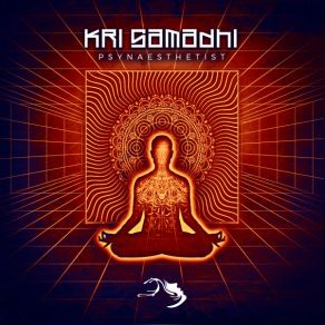 Psynaesthetist album cover