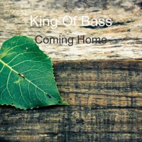 Coming Home album cover