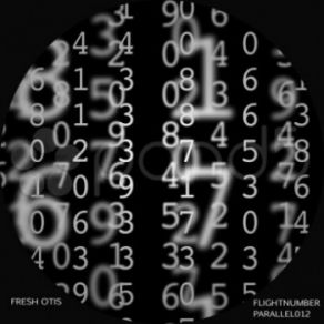 Flightnumber (Maxi-Single) album cover
