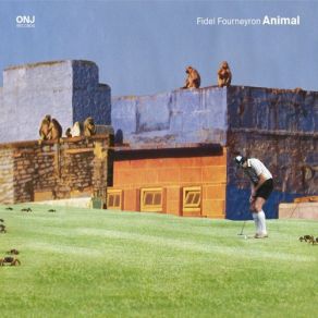 Animal album cover