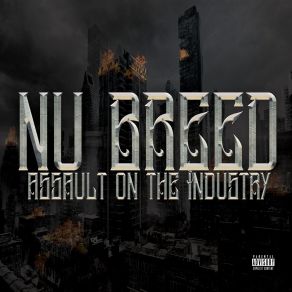 Assault On The Industry album cover