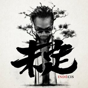Indecis album cover