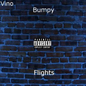 Bumpy Flights album cover