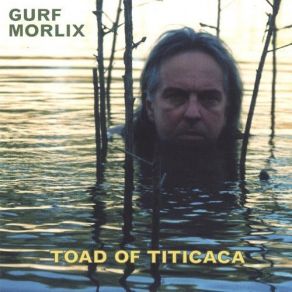 Toad Of Titicaca album cover