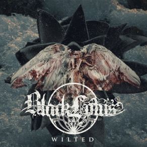 WIlted album cover