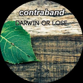 Darwin Or Lose album cover