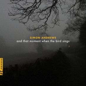 Simon Andrews: And That Moment When The Bird Sings album cover