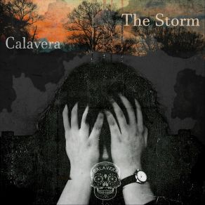 The Storm album cover