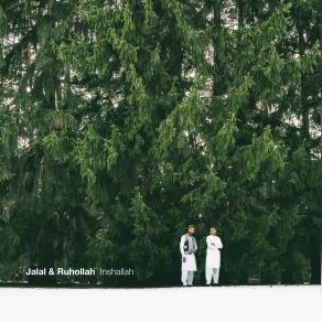 Inshallah album cover