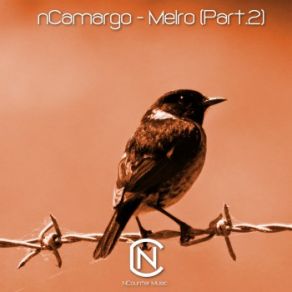 Melro, Pt. 2 album cover