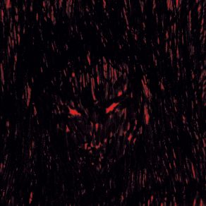 Dies Iræ Xerox album cover