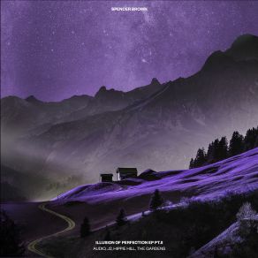 Illusion Of Perfection Pt 2 album cover