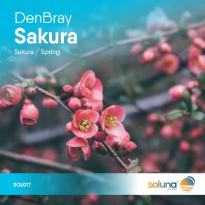Sakura (Maxi-Single) album cover