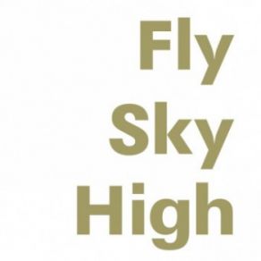 Fly Sky High (Maxi-Single) album cover