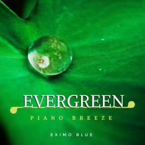 Evergreen - Piano Breeze album cover