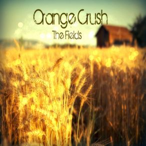 The Fields album cover
