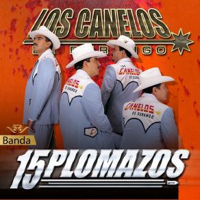 15 Plomazos album cover