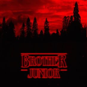 Brother Junior album cover