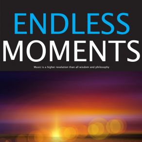 Endless Moments (Music City Entertainment Collection) album cover