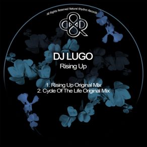 Rising Up album cover