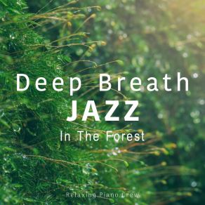 Deep Breath Jazz - In The Forest album cover