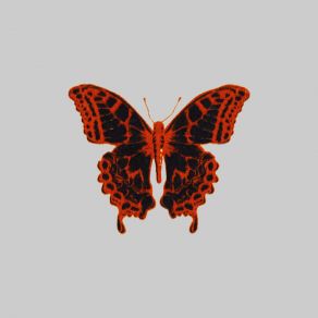 X2uo album cover