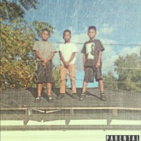 Pure album cover