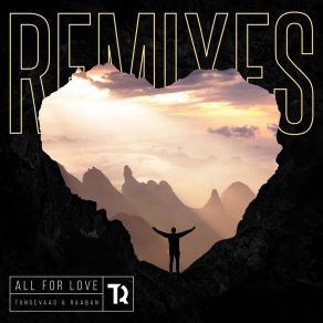All For Love (Remixes) album cover