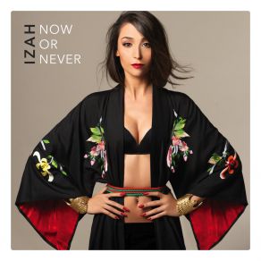 Now Or Never album cover