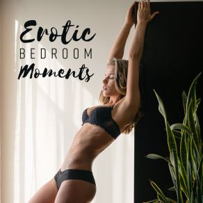 Erotic Bedroom Moments album cover