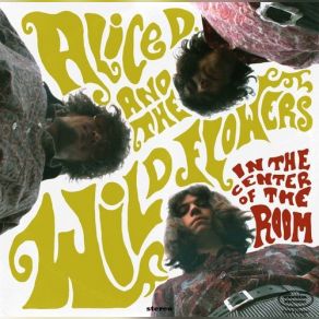 In The Center Of The Room album cover