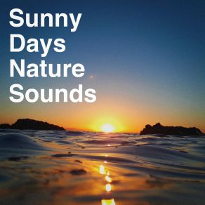 Sunny Days Nature Sounds album cover